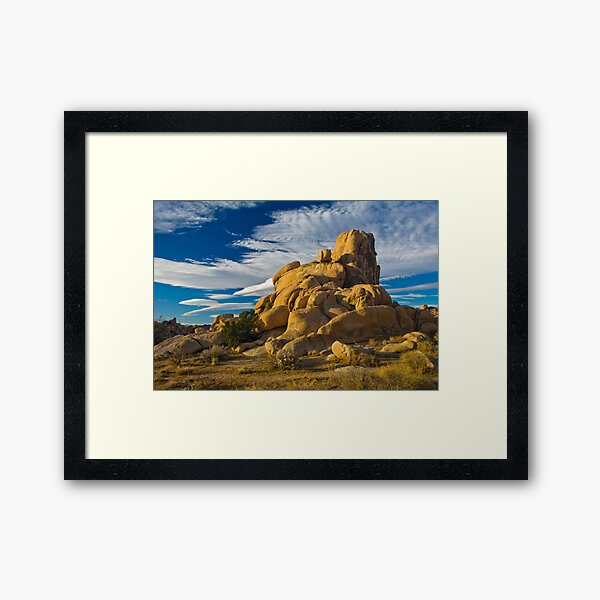Joshua Tree National Park Christmas Framed Art Print