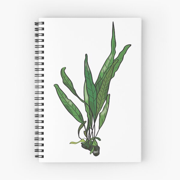 Item preview, Java Fern designed and sold by Yellow Bird Studios.