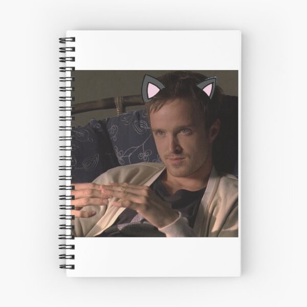 Aperçu de l'œuvre Catboy Jesse Pinkman créée et vendue par Morgan Bray.
