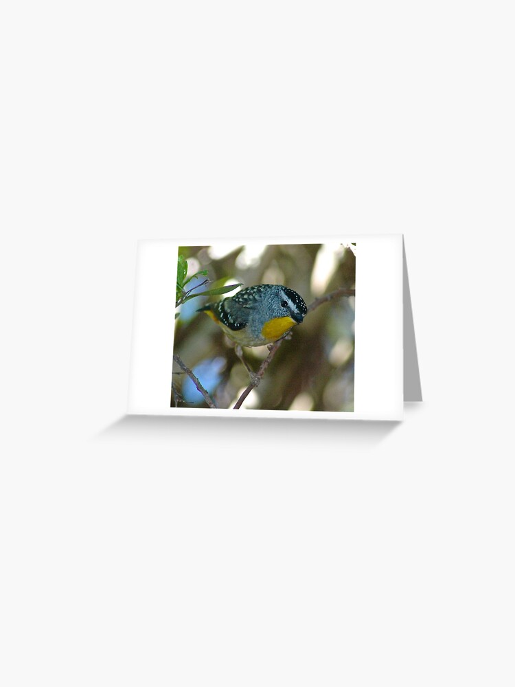 Thumbnail 1 of 2, Greeting Card, PARDALOTE ~ Spotted Pardalote FB2KdtSA by David Irwin ~ WO designed and sold by tasmanianartist.