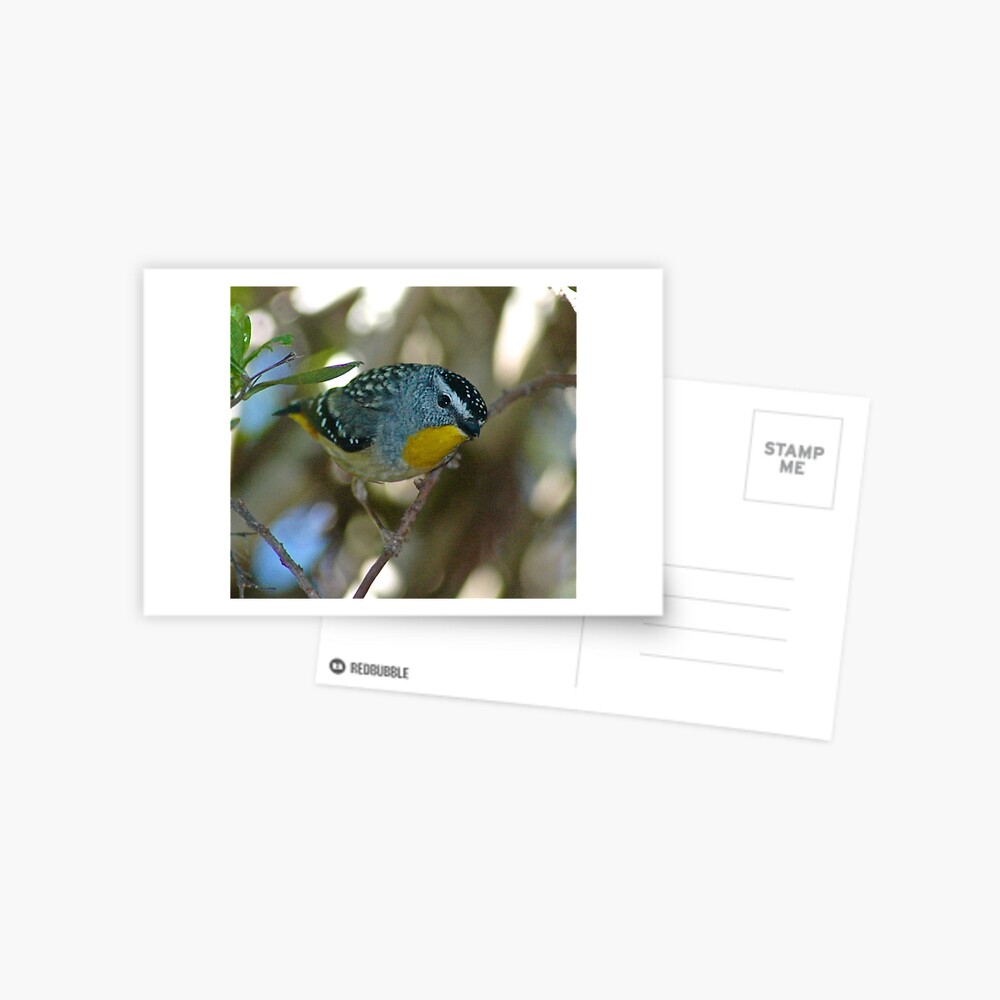 Item preview, Postcard designed and sold by tasmanianartist.