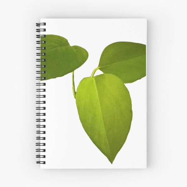 Item preview, Pathos’ Trio of Leaves designed and sold by South Bay Storyteller .