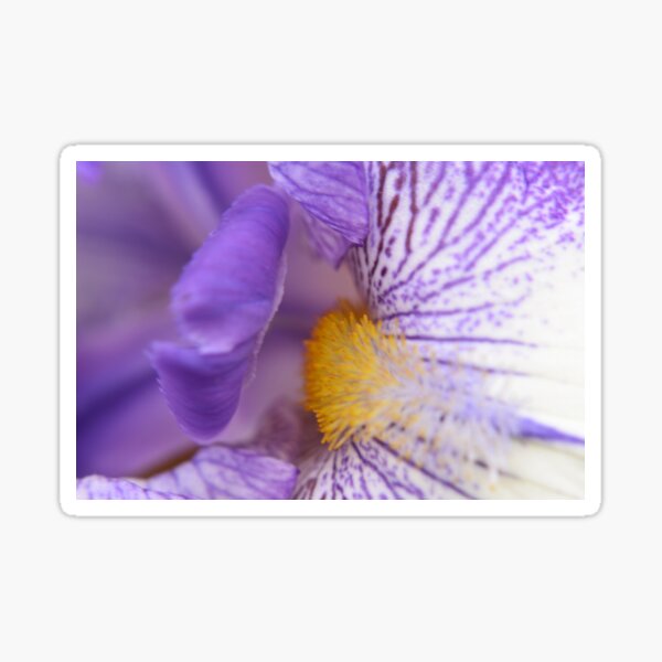 Item preview, Inner beauty designed and sold by Tonia Delozier's Photography .
