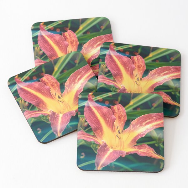 Item preview, Daylily (Hemerocallis 'Marse Connell') designed and sold by jasminewang.