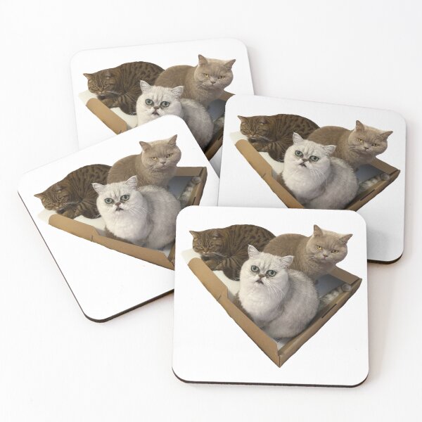 Item preview, A box of British shorthair cats designed and sold by pursuitofloot.