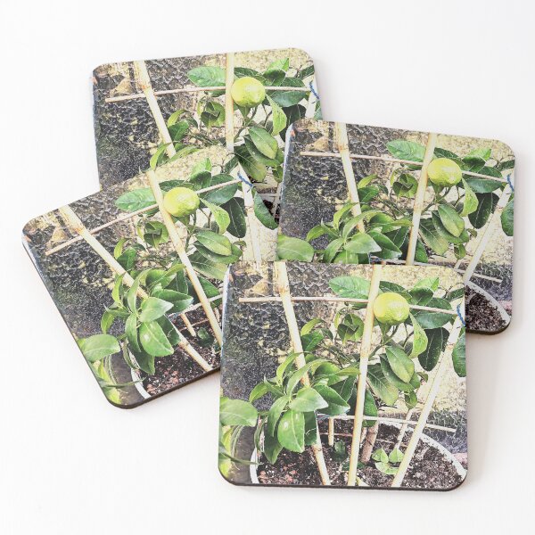 Item preview, Lemon on tree designed and sold by doctorezzo.
