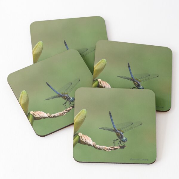 Item preview, Dragonfly Gymnastics designed and sold by Maureen Zaharie.