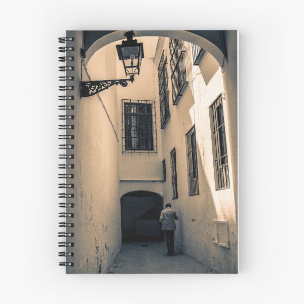 Item preview, Seville's Hidden Alley designed and sold by Mel Moreno.