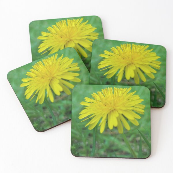 Item preview, Dandelion Head 1 designed and sold by Charles Oliver Creations.