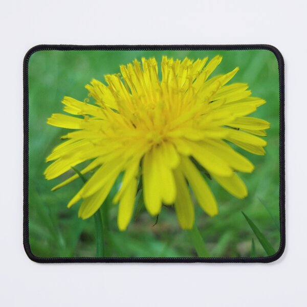 Item preview, Dandelion Head 1 designed and sold by Charles Oliver Creations.