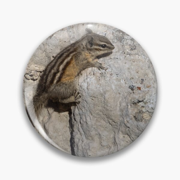 Item preview, Chipmunk on tufa designed and sold by Anthony Brewer.