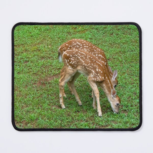Item preview, Deer Fawn Triplets designed and sold by SafariByMarisa.
