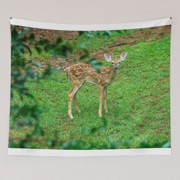 Item preview, Adorable Fawn Stands Guard designed and sold by SafariByMarisa.