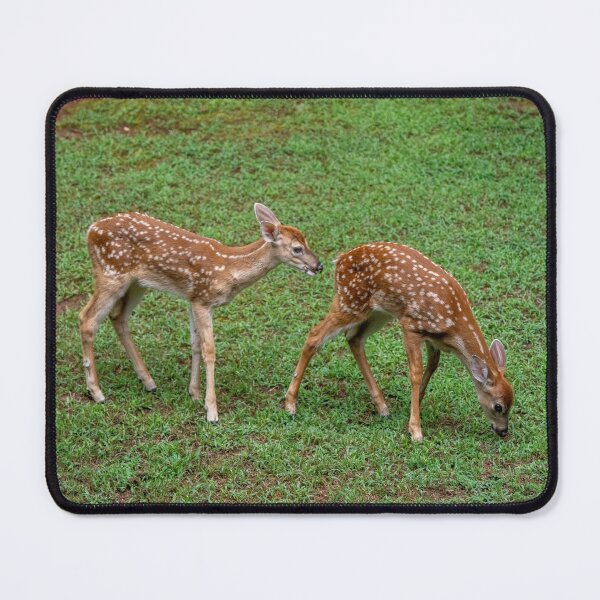 Item preview, Twin Fawns Eating Grass designed and sold by SafariByMarisa.
