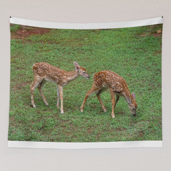 Item preview, Twin Fawns Eating Grass designed and sold by SafariByMarisa.