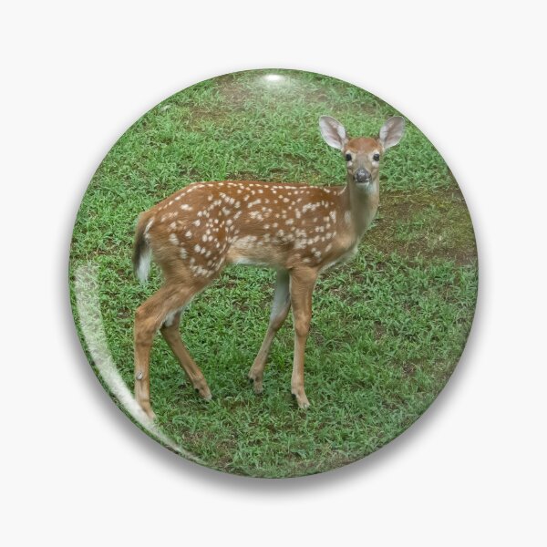 Item preview, Triple Fawns, Triple Cute designed and sold by SafariByMarisa.