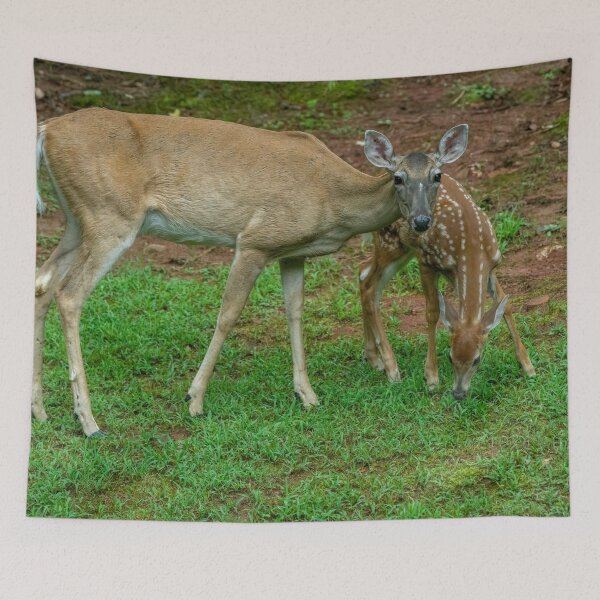 Item preview, Mother Doe and Fawn designed and sold by SafariByMarisa.