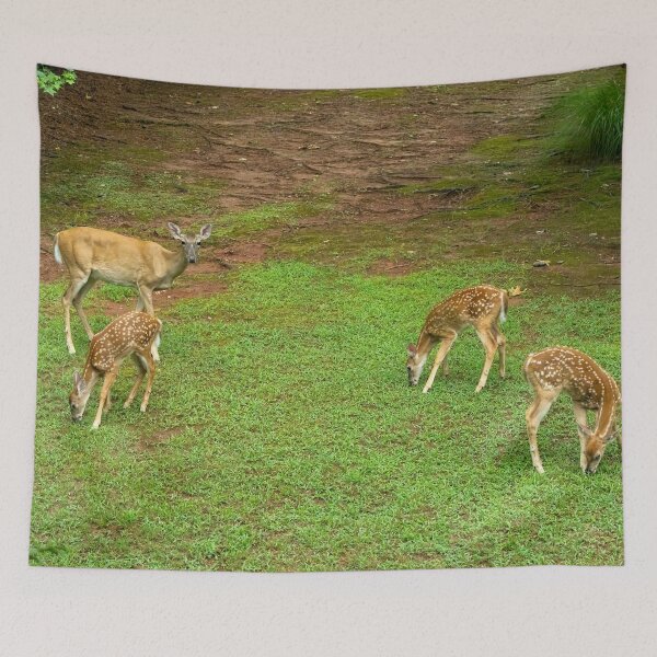 Item preview, Doe and Three Fawns designed and sold by SafariByMarisa.