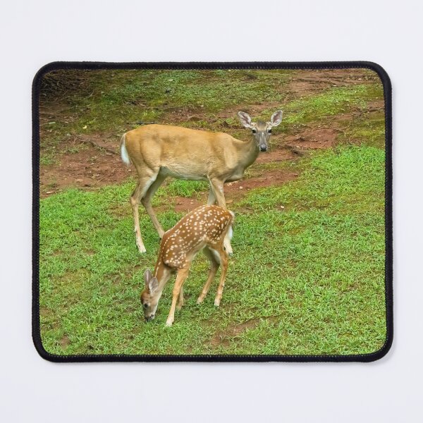 Item preview, Doe and Three Fawns designed and sold by SafariByMarisa.