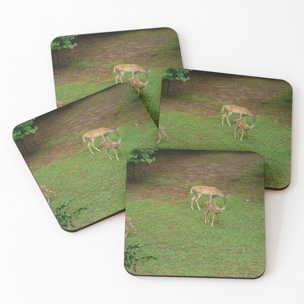 Item preview, Four Beautiful White Tailed Deer designed and sold by SafariByMarisa.