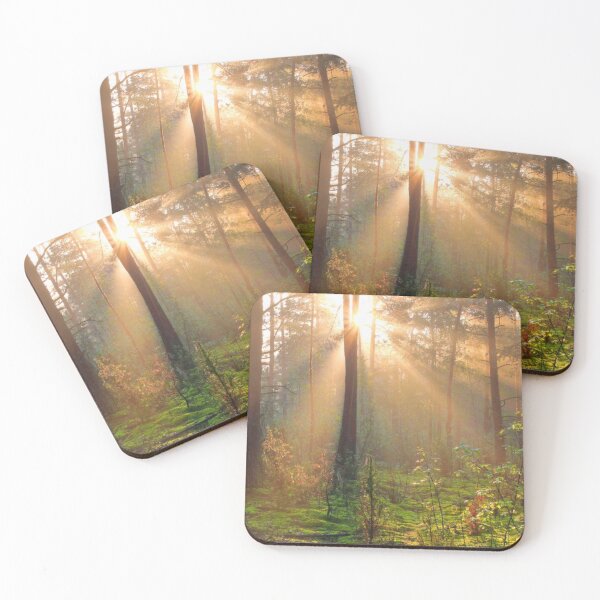 Item preview, Sunny Day in Forest designed and sold by Ethanabban.