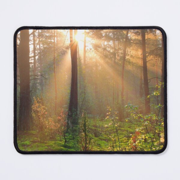 Item preview, Sunny Day in Forest designed and sold by Ethanabban.