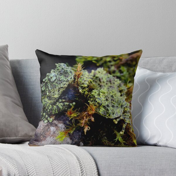 Item preview, Vietnamese Mossy Tree Frogs (Theloderma corticale) designed and sold by Jason Weigner.