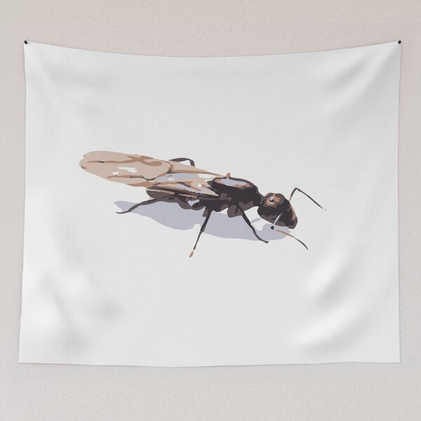 Item preview, Queen Ant silhouette designed and sold by Corner-Distro.
