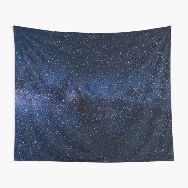 The Milky Way Tapestry
