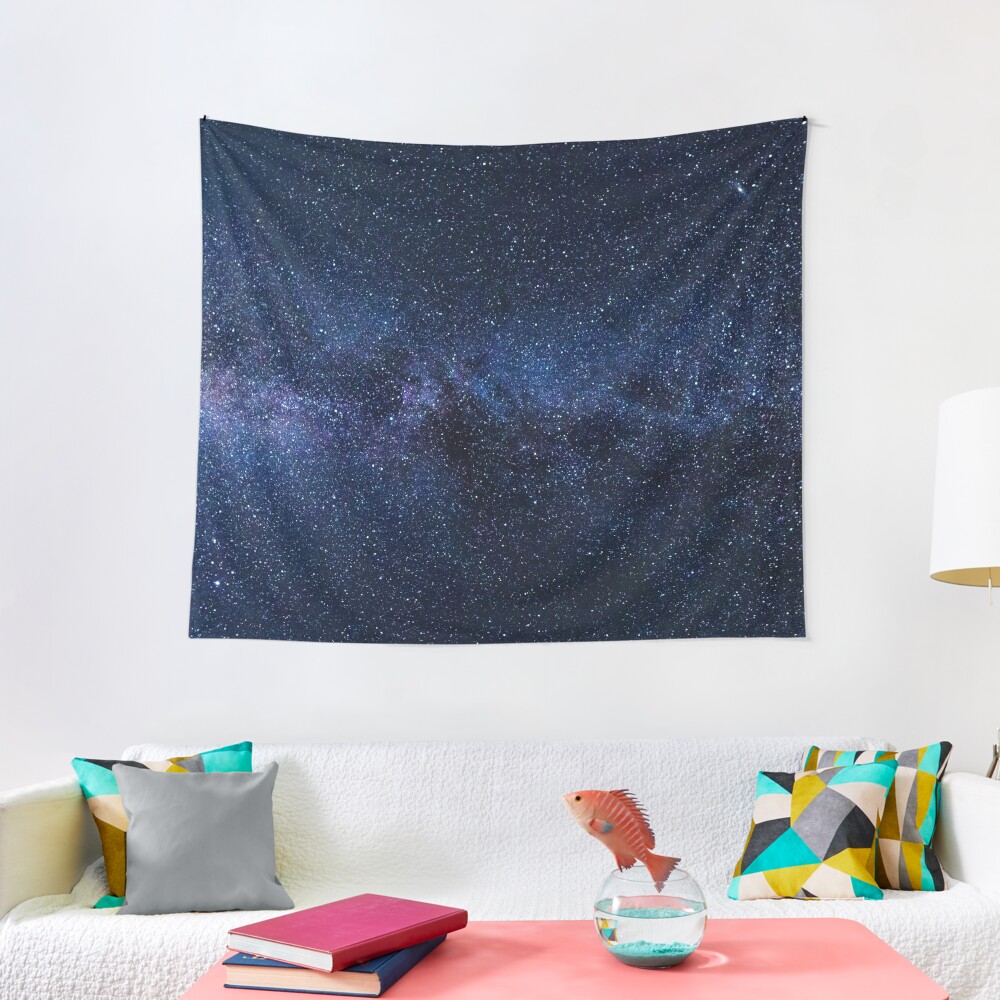 The Milky Way Tapestry