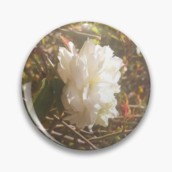 Item preview, White Rose on a Bush designed and sold by MangoSeeds.