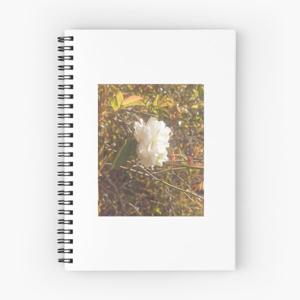 Item preview, White Rose on a Bush designed and sold by MangoSeeds.