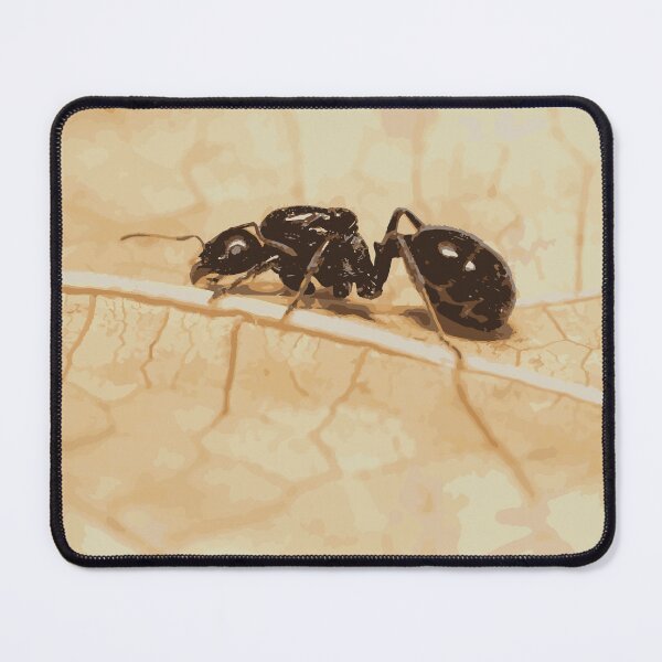 Item preview, Queen Ant on leaf designed and sold by Corner-Distro.
