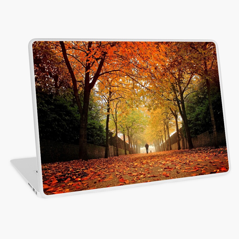Item preview, Laptop Skin designed and sold by Coigach.