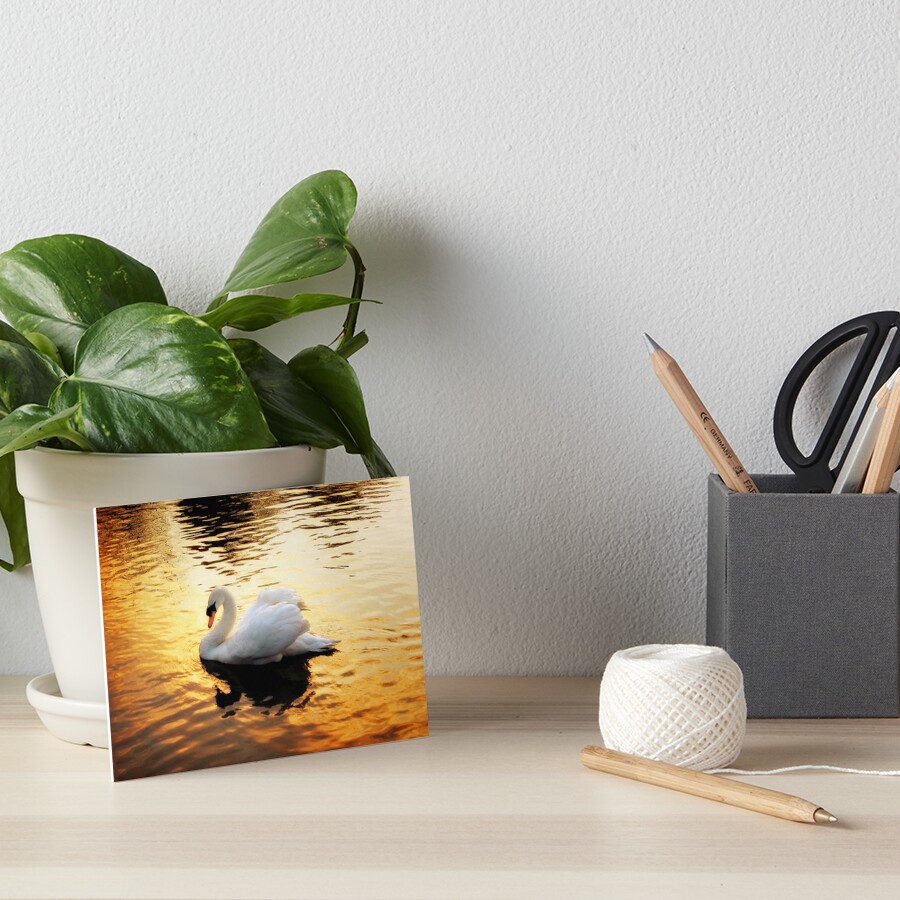 Item preview, Art Board Print designed and sold by Coigach.