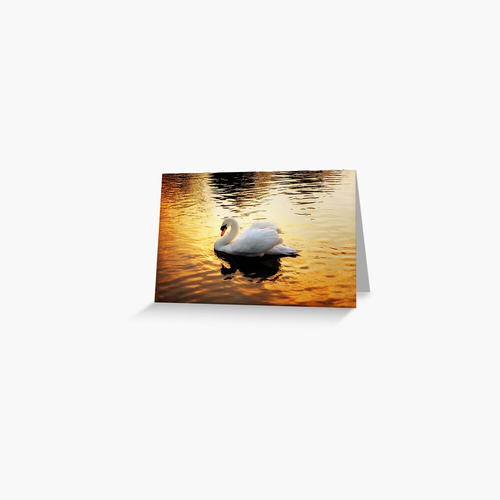 Item preview, Greeting Card designed and sold by Coigach.