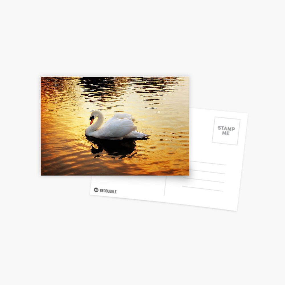 Item preview, Postcard designed and sold by Coigach.