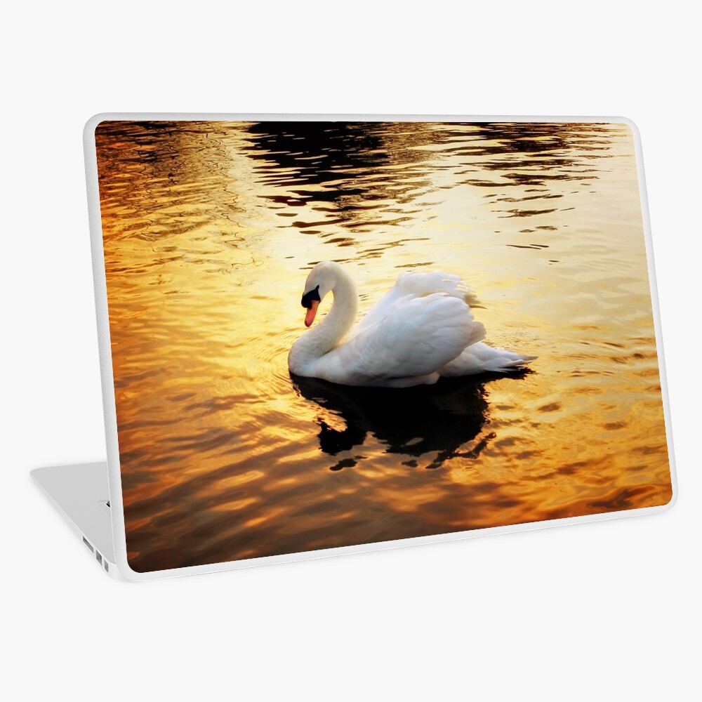 Item preview, Laptop Skin designed and sold by Coigach.