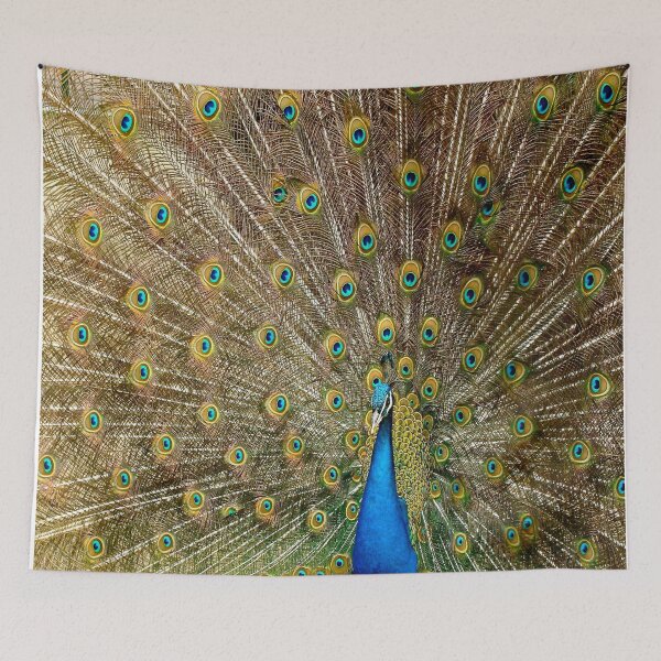 Item preview, Beautiful Peacock designed and sold by loganferret.