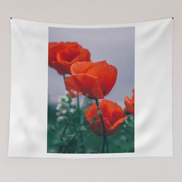 Item preview, Poppy flowers in close up designed and sold by LiguxKon.