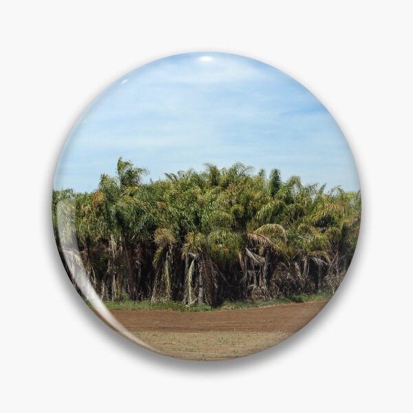 Item preview, Plenty of Palms designed and sold by heatherfriedman.