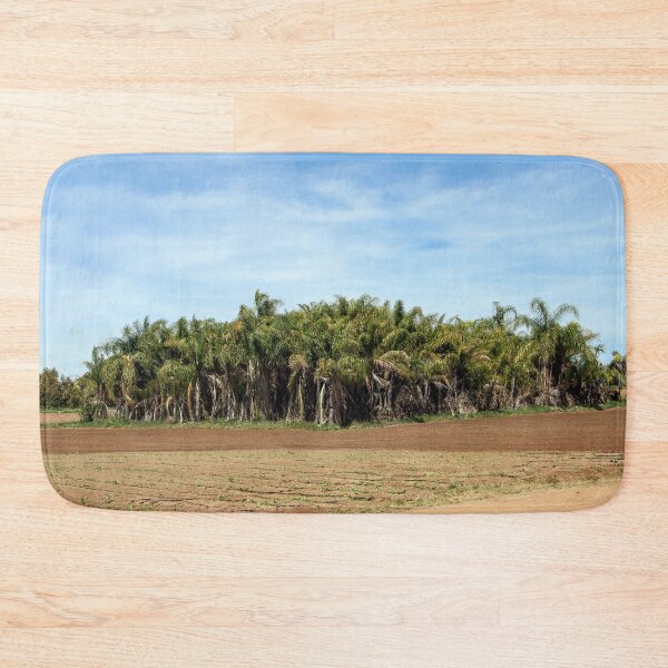 Item preview, Plenty of Palms designed and sold by heatherfriedman.