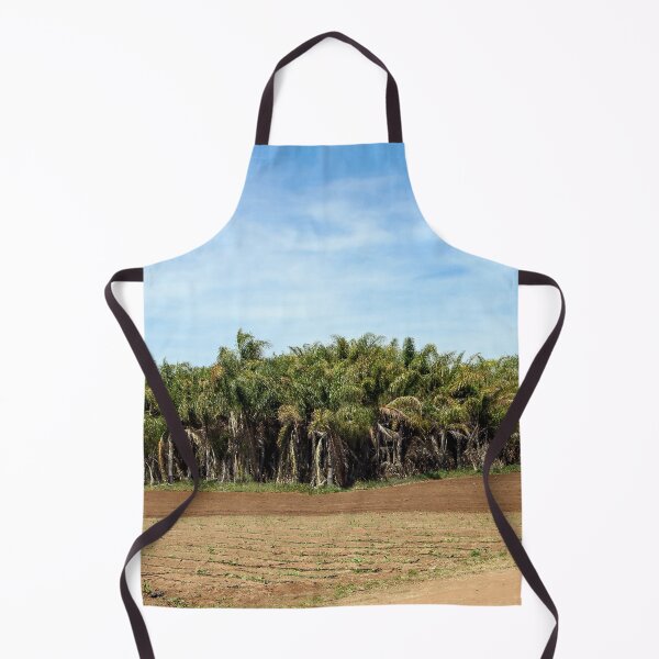 Item preview, Plenty of Palms designed and sold by heatherfriedman.