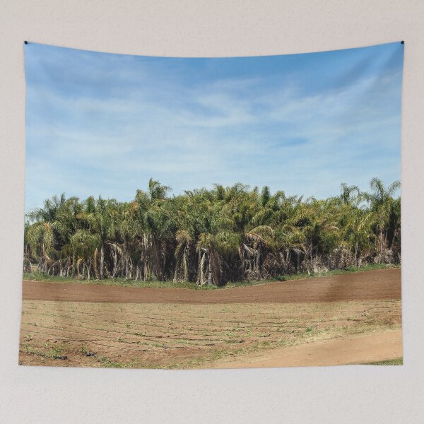 Item preview, Plenty of Palms designed and sold by heatherfriedman.