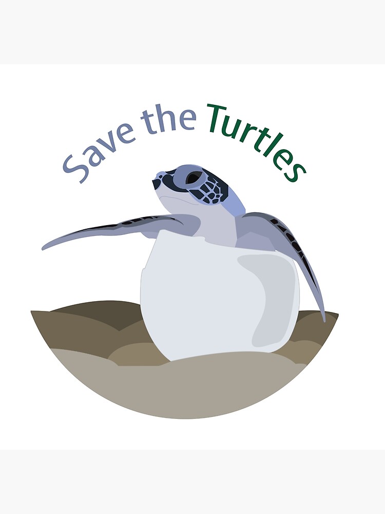 "save The Turtles" Poster By Jeffgraz95 | Redbubble