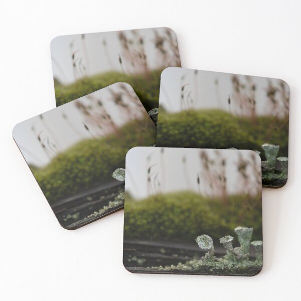 Item preview, Pebbled cup lichen designed and sold by Calidris Fotografie Steffi & Ben Köppler.