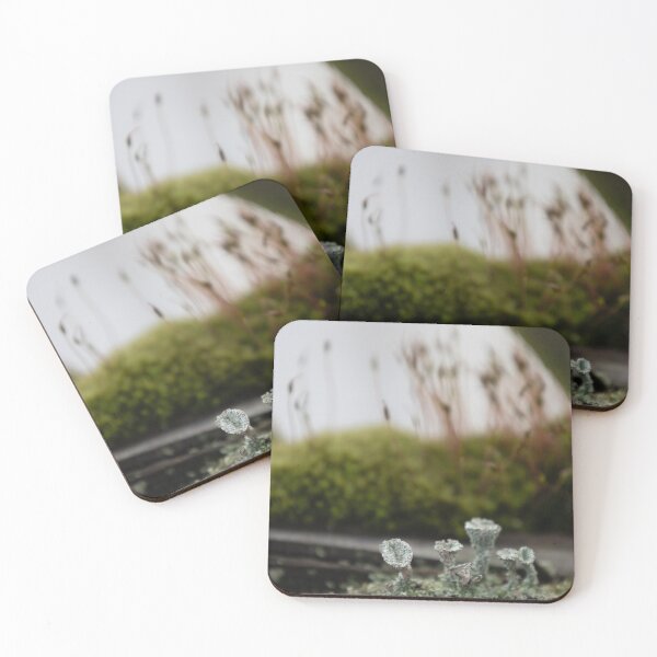Item preview, Pebbled cup lichen designed and sold by Calidris Fotografie Steffi & Ben Köppler.