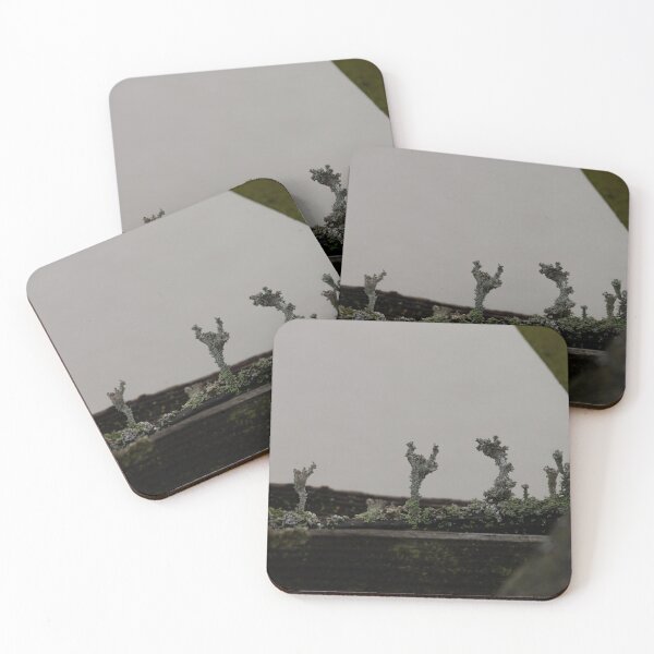 Item preview, Pebbled cup lichen designed and sold by Calidris Fotografie Steffi & Ben Köppler.