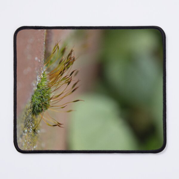 Item preview, Moss designed and sold by Calidris Fotografie Steffi & Ben Köppler.