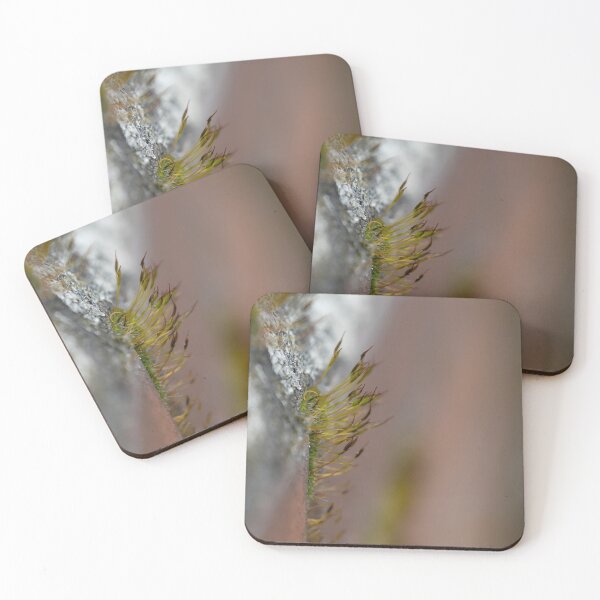 Item preview, Moss designed and sold by Calidris Fotografie Steffi & Ben Köppler.
